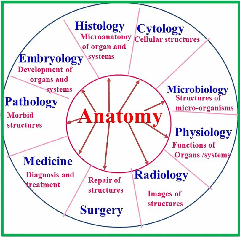 JAMB Cut Off Mark for Anatomy